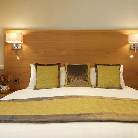 Отель Palm Court 3*