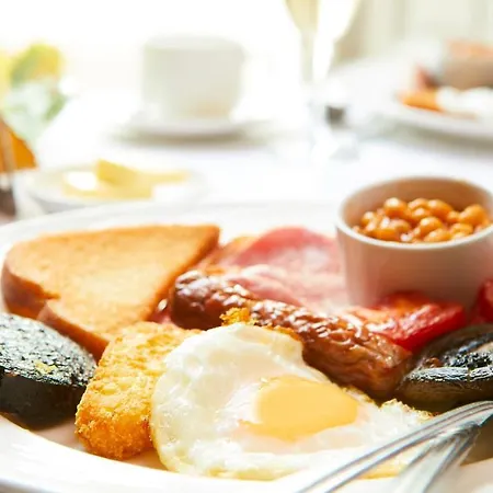 Отель Palm Court 3*